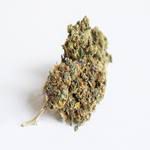 Cannabisblüten unverarbeitet